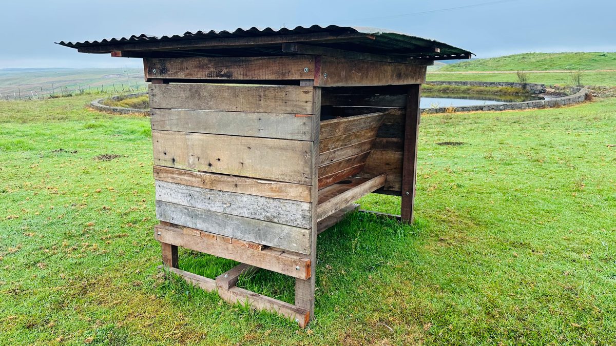 Cocho montado no pasto, em perspectiva
